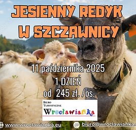 Jesienny Redyk w Szczawnicy
11 października  2025 
>>ZAPISY ZAKOŃCZONE<<