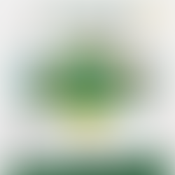 Wczasy - Rimini 5-13 września 2024 >>ZAPISY ZAKOŃCZONE<<