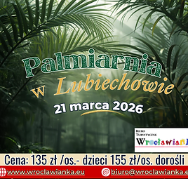 Palmiarnia w Lubiechowie
21 marca 2026