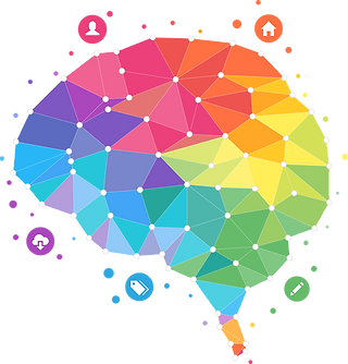 brain-4389724_1280 (1).png
