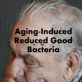 Biomiii for Gut Dysbiosis: Aging-Induced Reduced Good Bacteria
