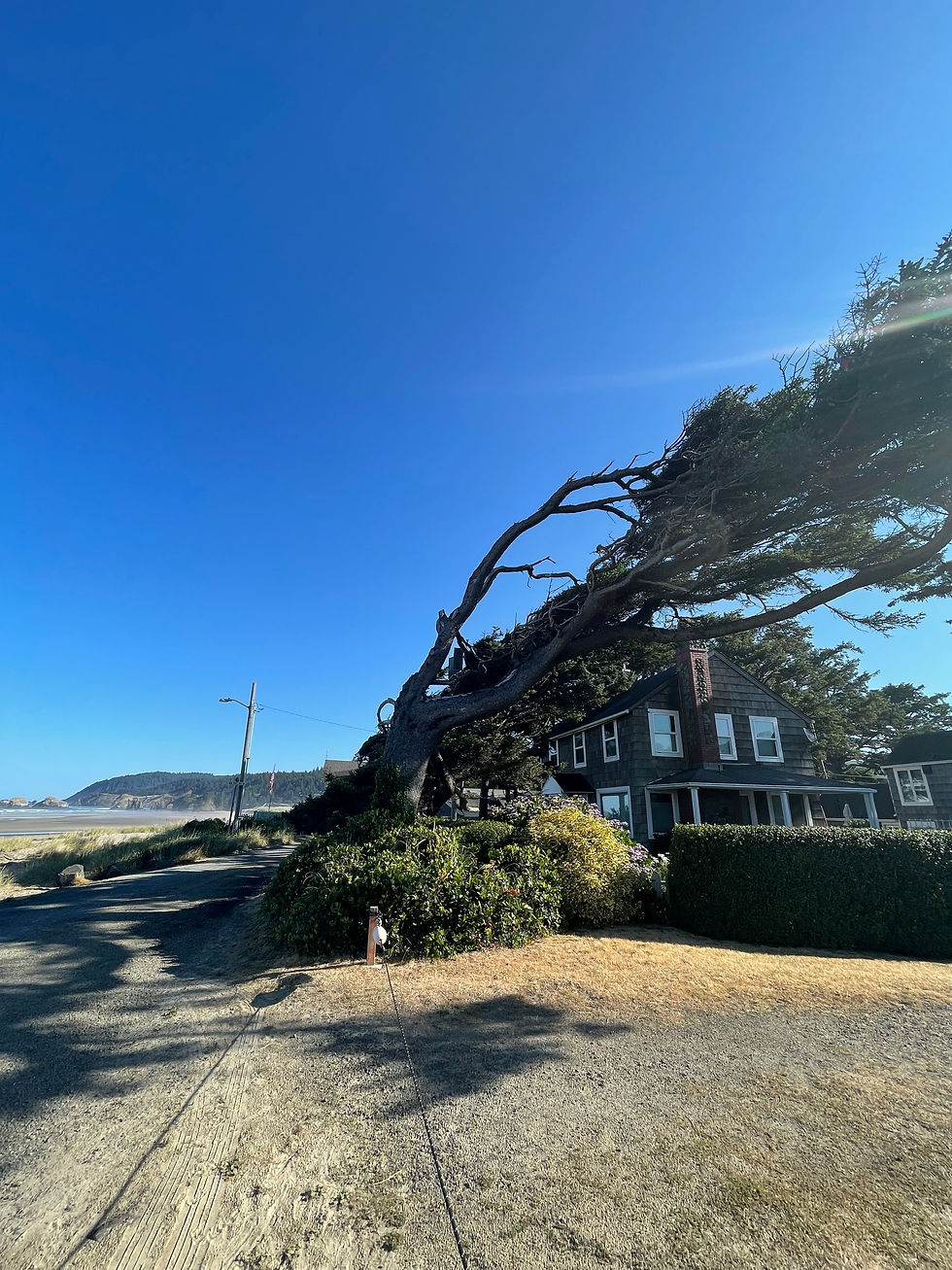 When your world is rocked