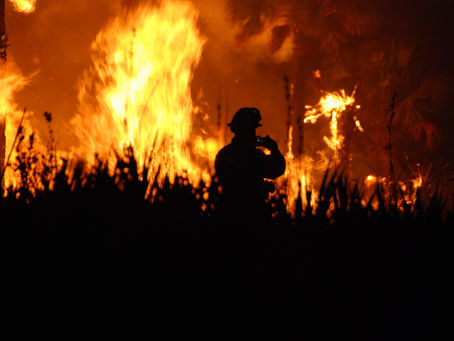 Wildfires are becoming more common in the UK – but the threat can be managed