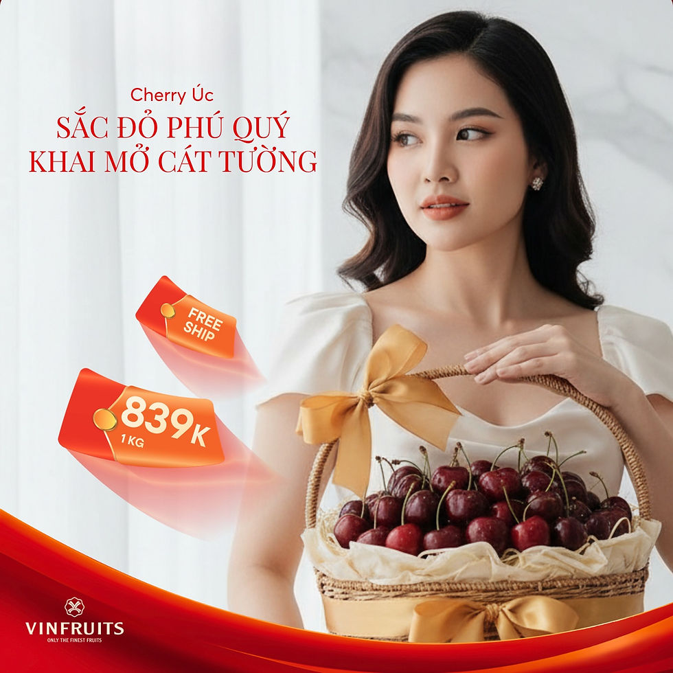 Ảnh đại diện dự án Vinfruits: chiến dịch marketing Content và Facebook Ads cho thương hiệu trái cây nhập khẩu tại TP.HCM, giai đoạn 16/01–14/02/2026.