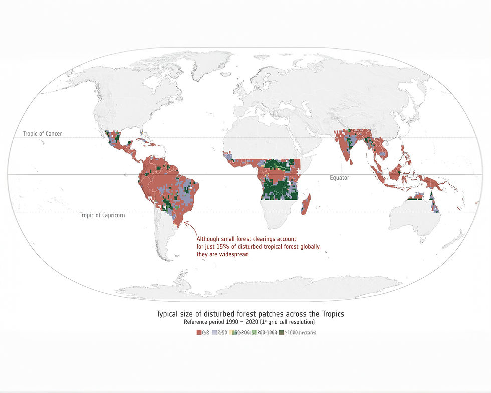 Kleine Entwaldungsflächen treiben Kohlenstoffverlust in den Tropen voran