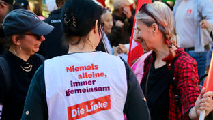 Sand im Getriebe statt Rädchen im System – Zukunft der Parlamentsarbeit in einer sich erneuernden Linken