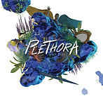 Plethora (Cover Art).jpeg