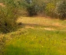 Kulbagoor, Sangareddy. 24guntas land