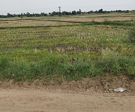 Laxmisagar, Andole, 1acre land