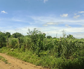Bhusareddypalle, Manepally, Sangareddy. 2.21 acres land