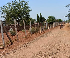 Kothur (B), Zaheerabad, Sangareddy. 1 acres land