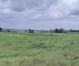 Irgipalle, Sangareddy. 13 guntas land