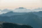 hunter-reilly-o181z-_ChuI-unsplash.jpg
