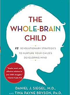 whole brain child.jpg