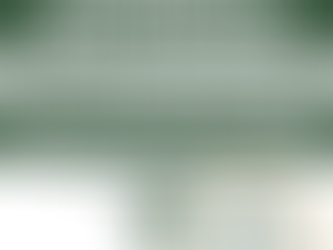 January 23 Meeting: Kicking off 2024 with Mindfulness