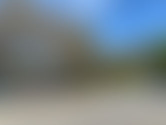 Safer Streets Blooming in South Roanoke