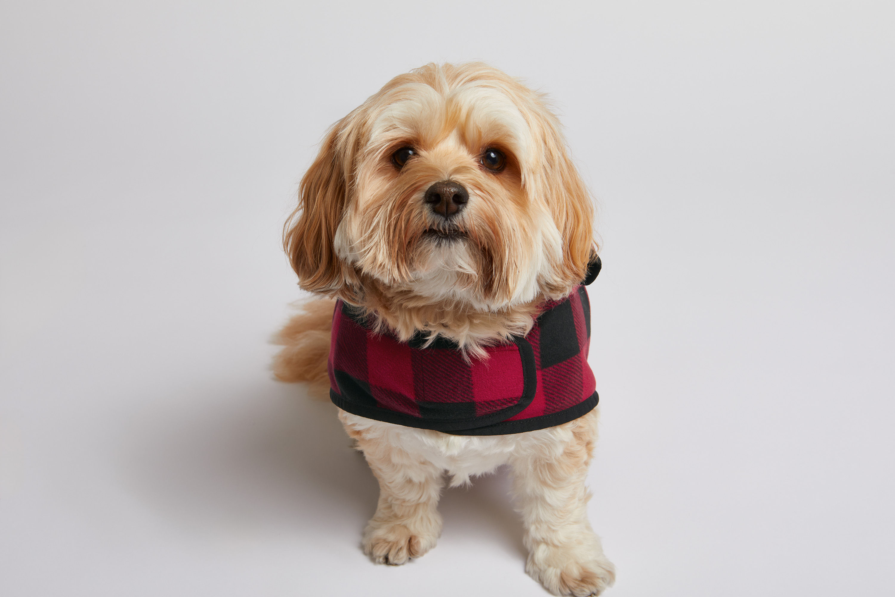 Fleece Pet Jacket (PPE100)