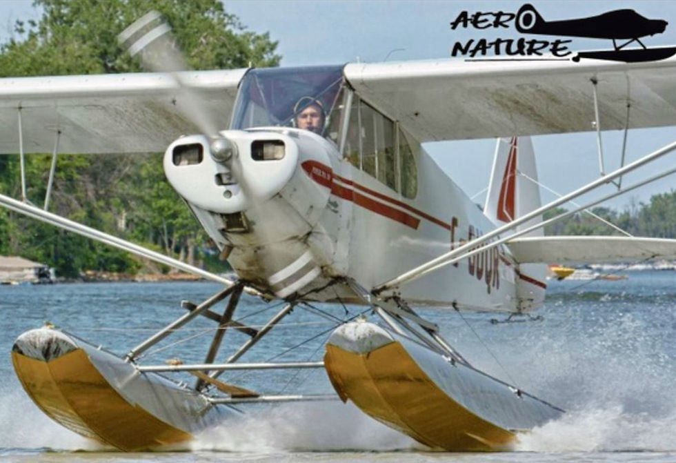 Screen Shot 2021-12-11 at 9_edited