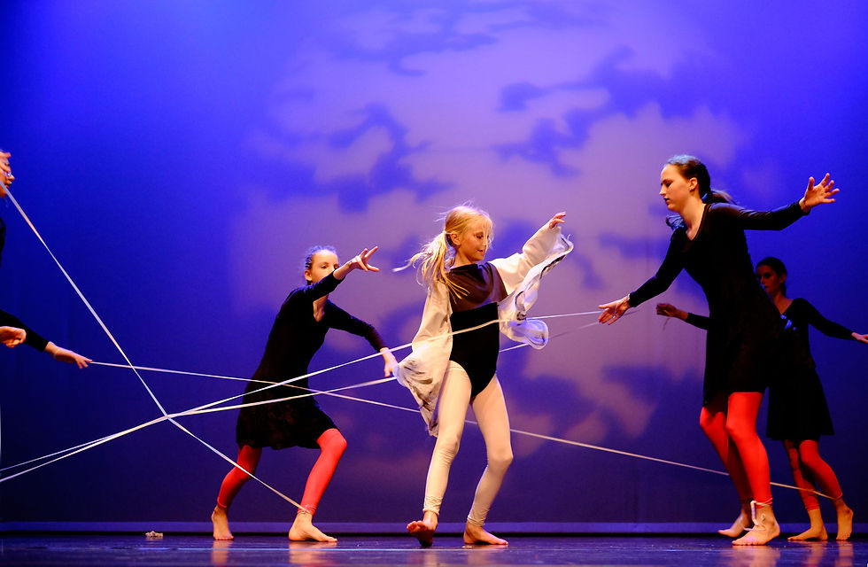 Dansvoorstelling-juni-2016-dg2-XT1-s2_XT10020