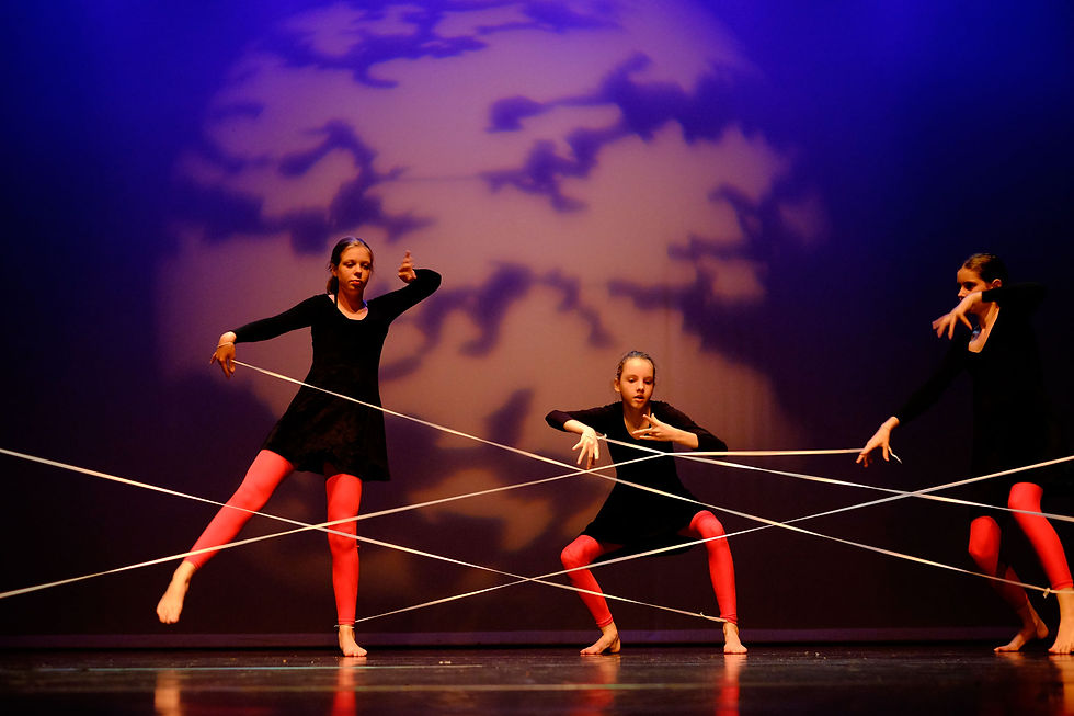 Dansvoorstelling-juni-2016-dg2-XT1-s2_XT10008
