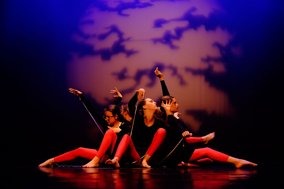 Dansvoorstelling-juni-2016-dg2-XT1-s2_XT10005