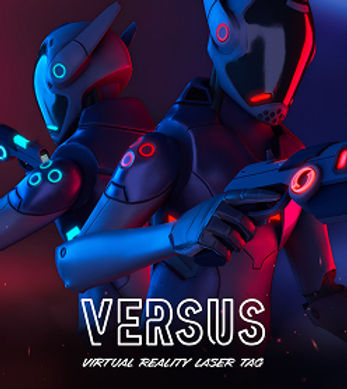 69836ed2035b5055f2690ba8_HZ Game Versus.jpg