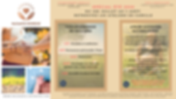 CALENDRIER ETE 2020 (1).png
