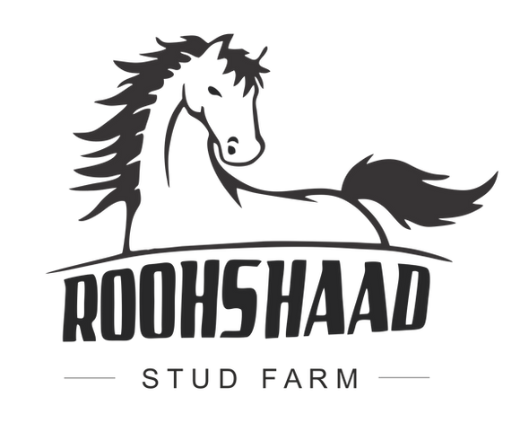 dss rOOHSHAAD lOGO.png