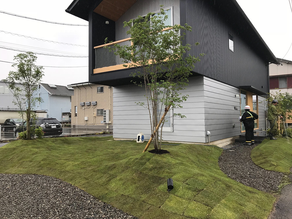 大川の家 植栽工事