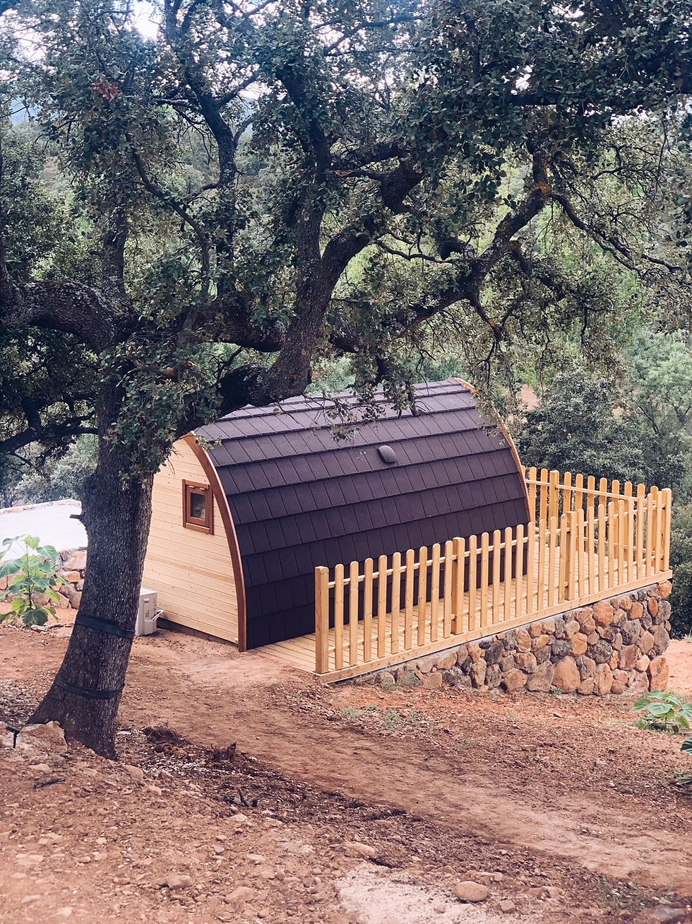 Miniatura: POD HOUSE