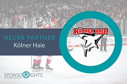 Neuer Partner_Kölner Haie (2).png