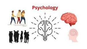 Psychology — Driver of Innocence Reform