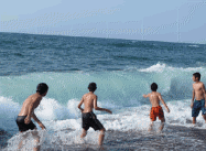 20100816_05.gif