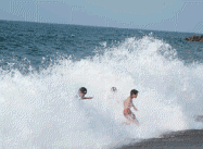 20100816_04.gif