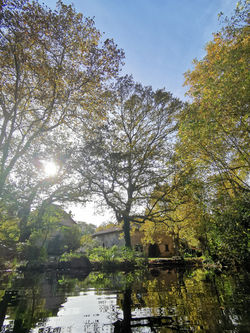 Le gîte vu de l'étang
