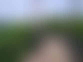 Unterwegs im NP Thayatal