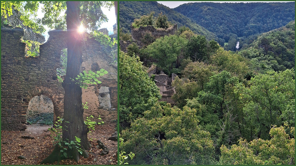Burgruine Novy Hradek