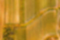 Wein_Projektbild_Herbst_edited.jpg