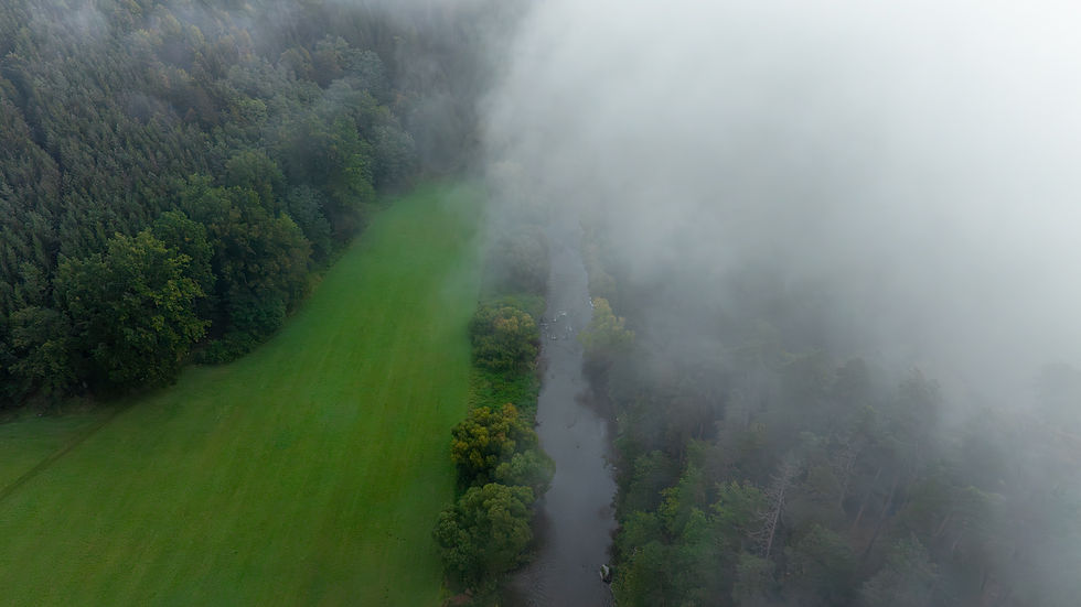 Nebel über der Thaya