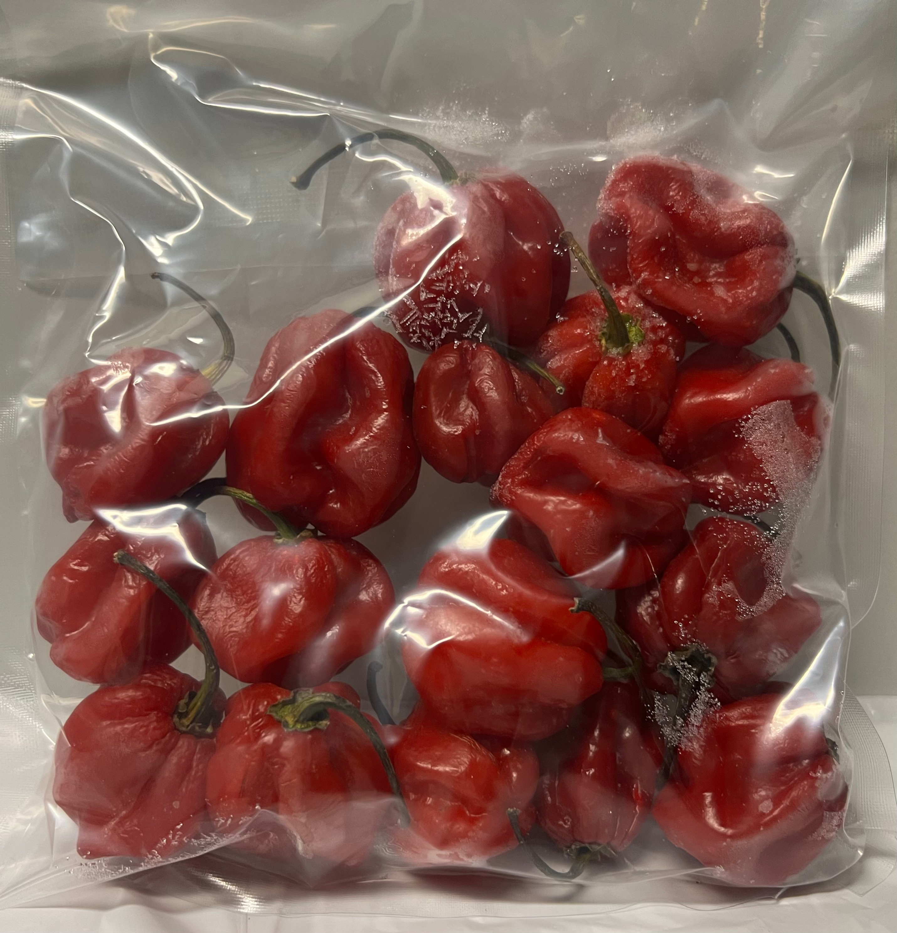 Scotch Bonnet Pack/Habanero Pepper (Ata rodo)