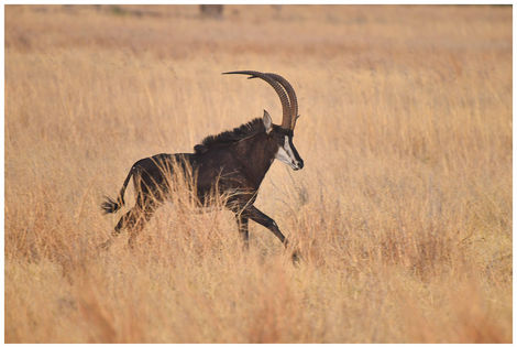 黃保強_254_路過 - PK Wong.jpg