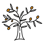 olive tree, Chrysofora