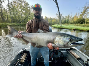 A silver king salmon caught Salmon fish fishing