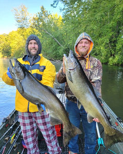 Michigan Salmon Fishing
