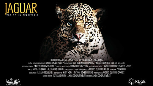 Jaguar.jpeg