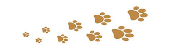 Pawprints.jpg