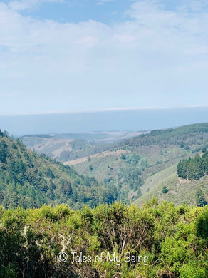 The Bay Area Adventures - Part 1