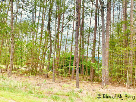 Exploring the Granite and Pine Tree States - Part 1