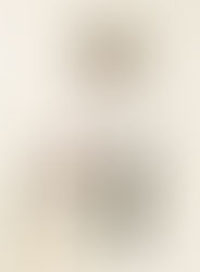 御無沙汰致しております