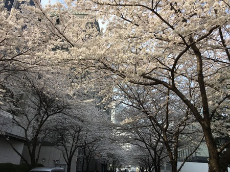 第三十九回 清流会